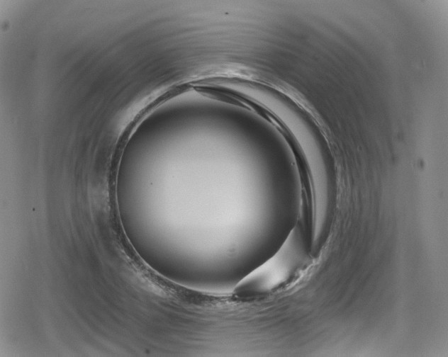 X0000080200834200612081425