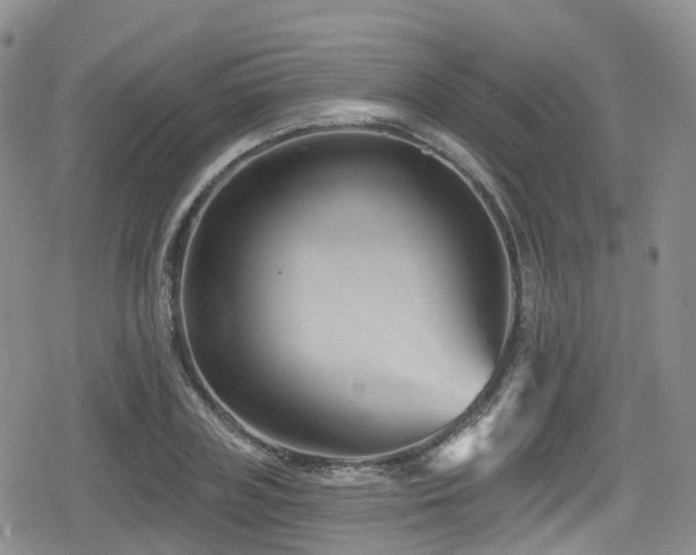 X0000080200835200612081425