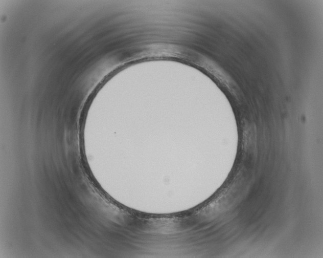 X0000080200836200612081425