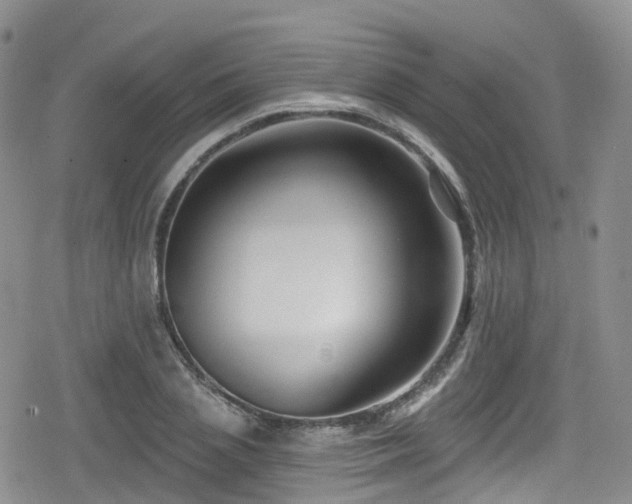 X0000080200837200612081425