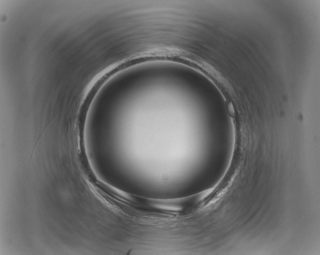 X0000080200838200612081425