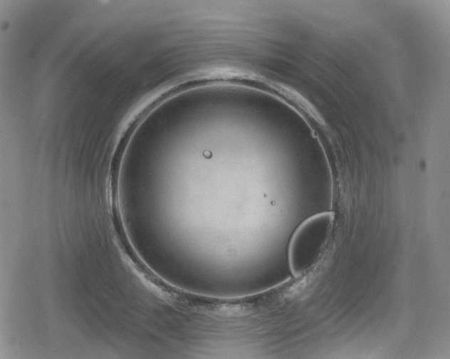 X0000080200839200612081425