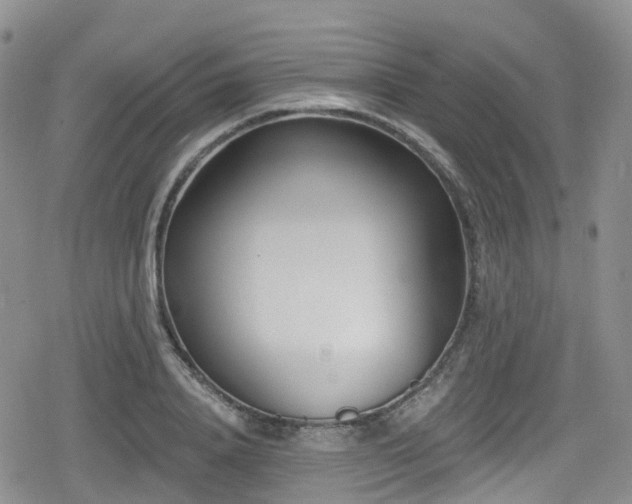 X0000080200840200612081425