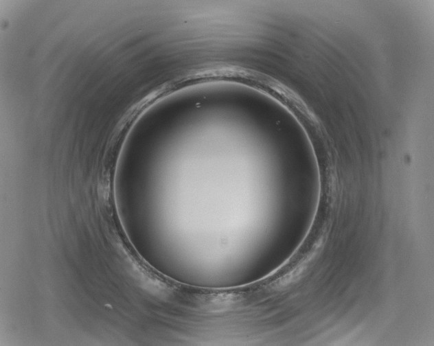 X0000080200841200612081425