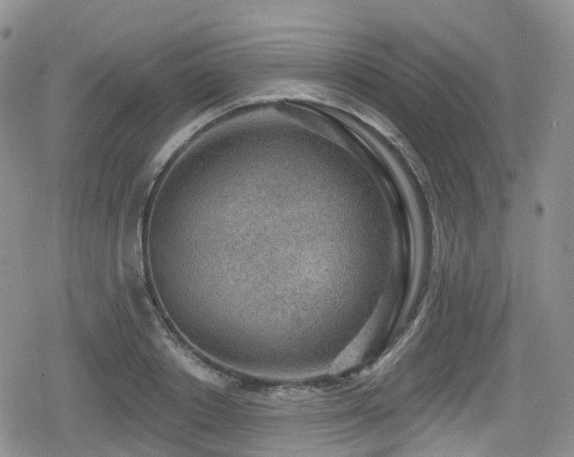 X0000080200842200612081425