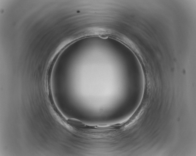 X0000080200843200612081425