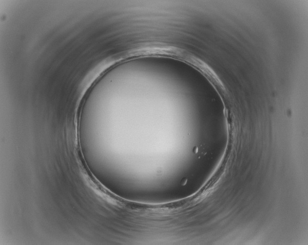 X0000080200844200612081425