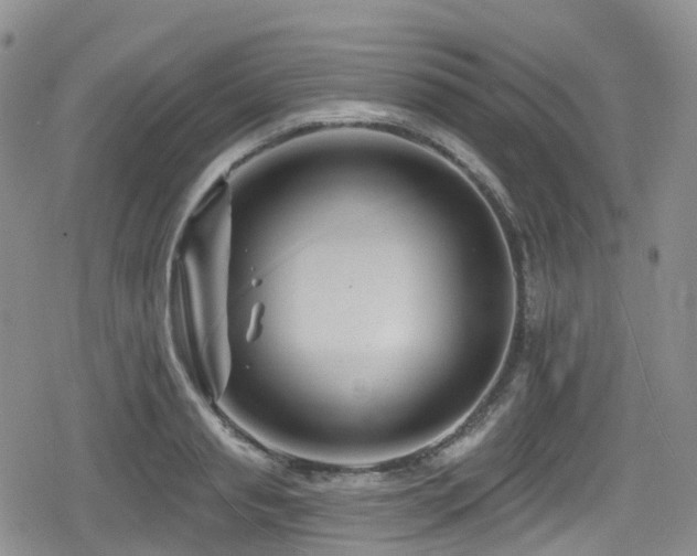 X0000080200845200612081425