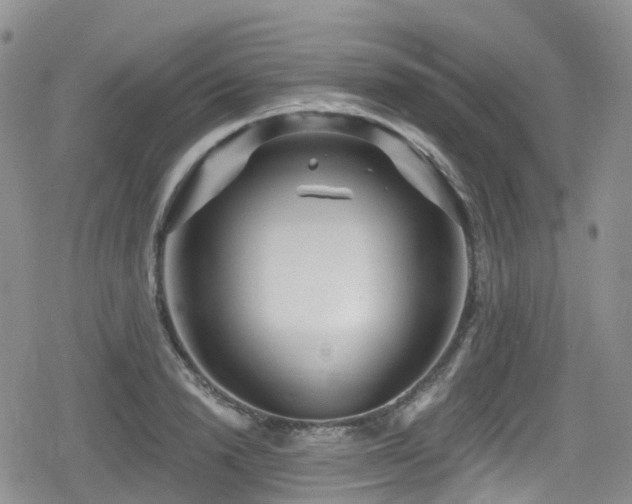 X0000080200846200612081425