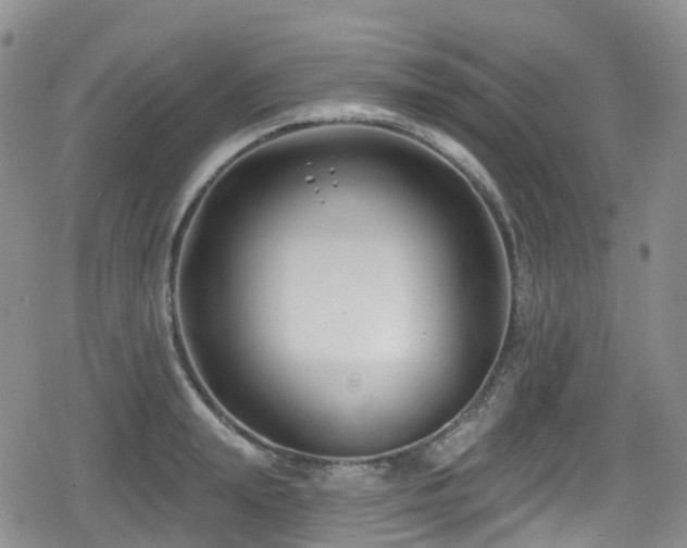 X0000080200847200612081425