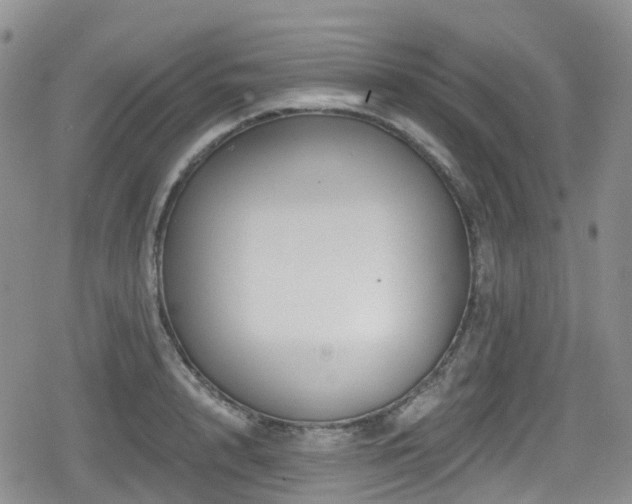 X0000080200848200612081425