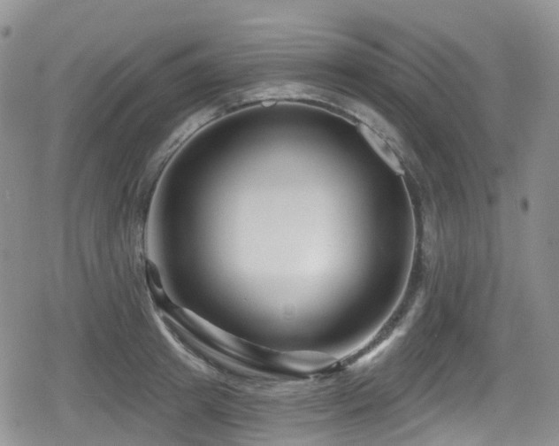 X0000080200849200612081425