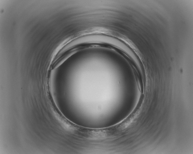 X0000080200850200612081425