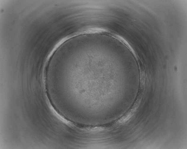 X0000080200851200612081425