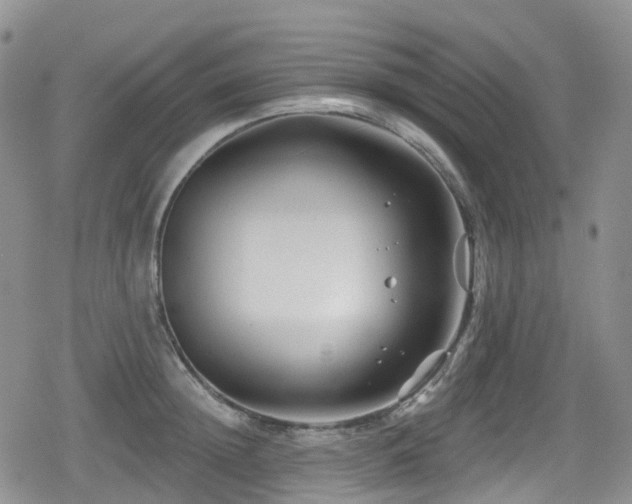 X0000080200852200612081425