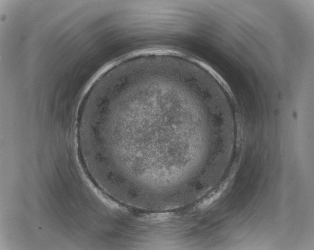 X0000080200853200612081425