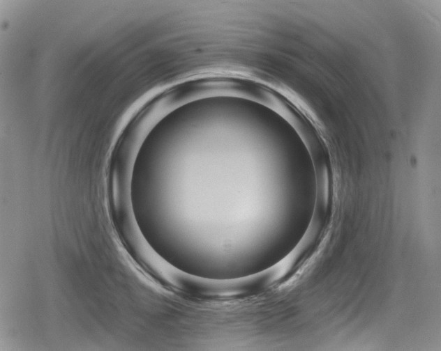 X0000080200854200612081425