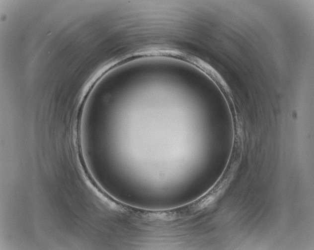 X0000080200855200612081425