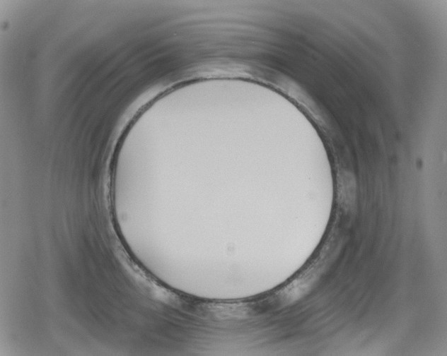 X0000080200856200612081425