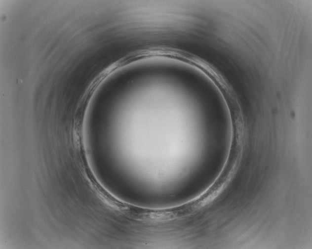 X0000080200857200612081425