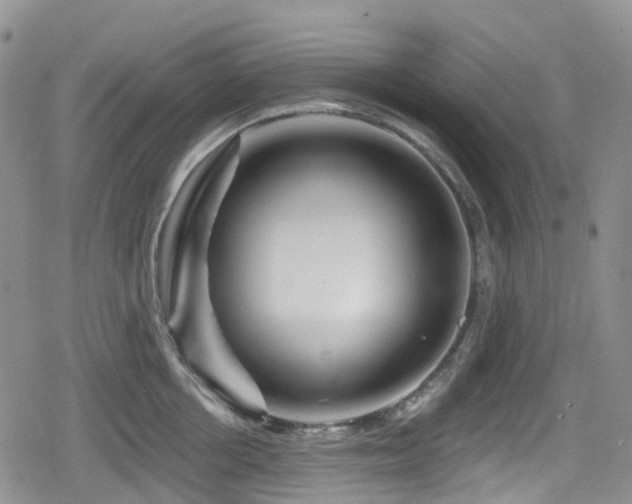 X0000080200858200612081425