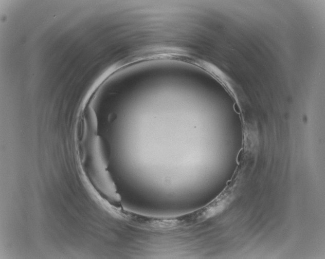 X0000080200859200612081425