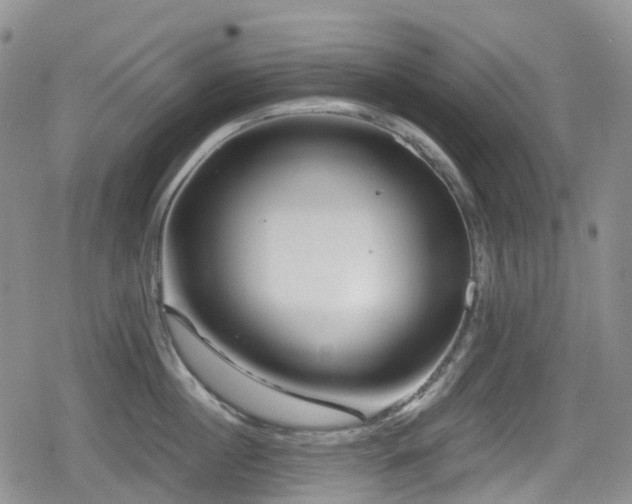 X0000080200860200612081425