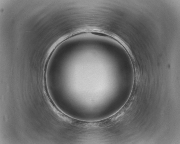 X0000080200861200612081426