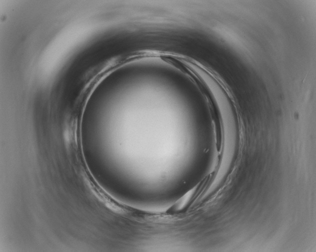 X0000080200862200612081426