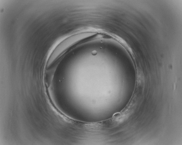 X0000080200863200612081426