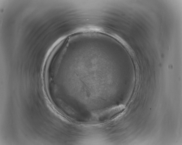 X0000080200864200612081426