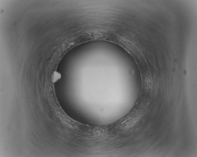 X0000080200865200612081425