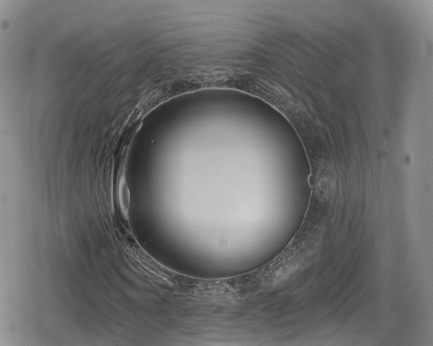 X0000080200866200612081425