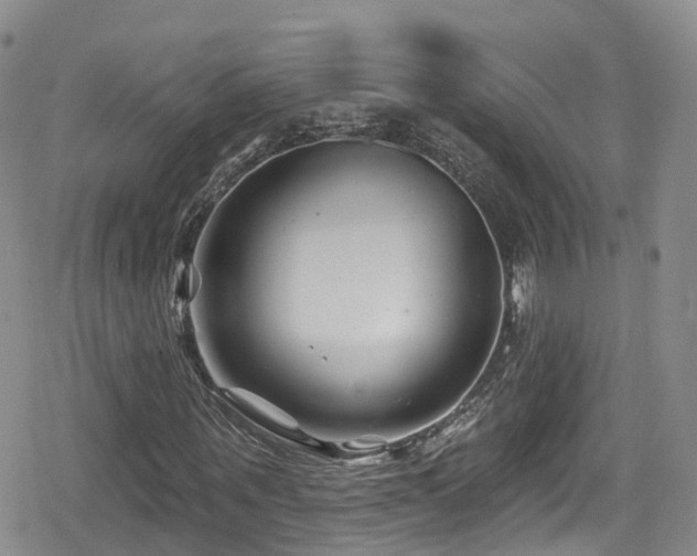 X0000080200867200612081425