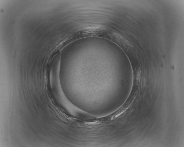 X0000080200868200612081425