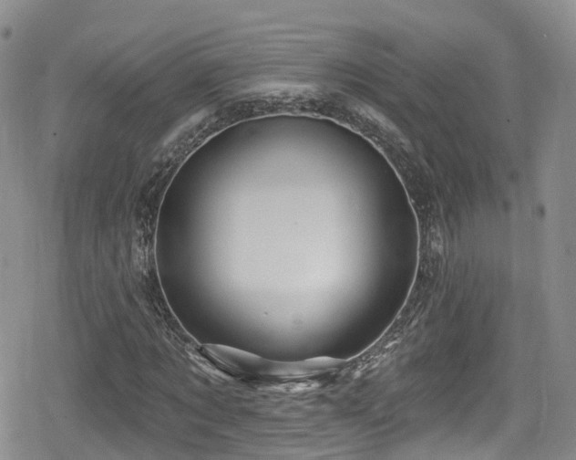 X0000080200869200612081425