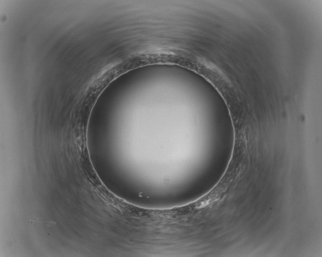 X0000080200870200612081425