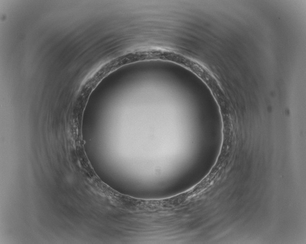 X0000080200871200612081425