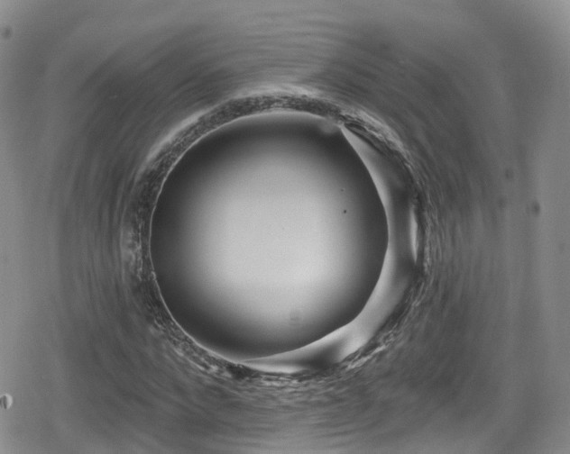 X0000080200872200612081425