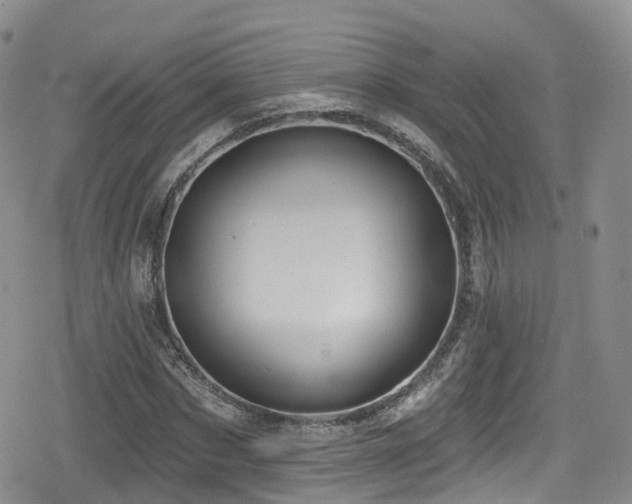 X0000080200873200612081425