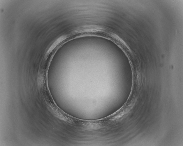 X0000080200874200612081425