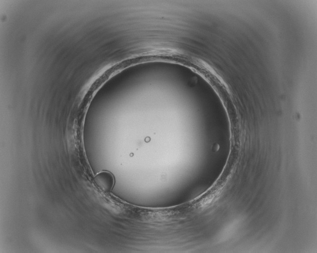 X0000080200875200612081425