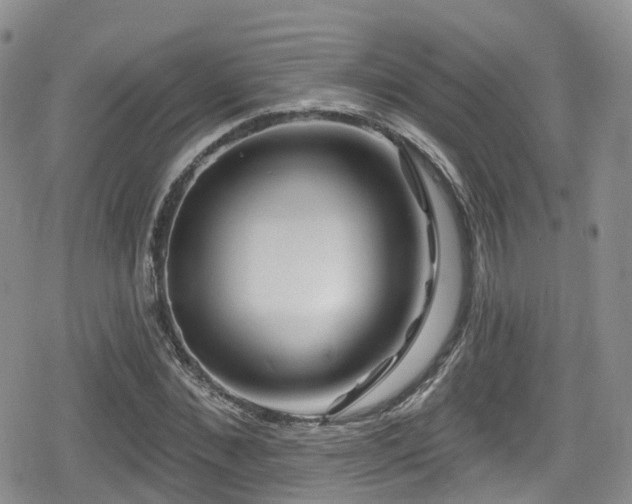 X0000080200876200612081425