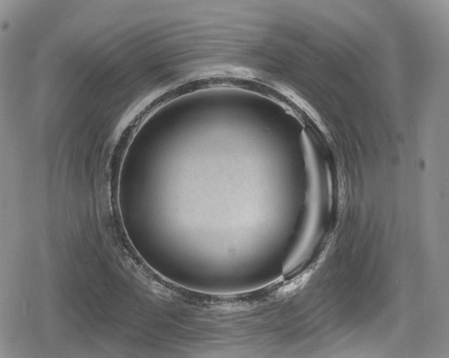 X0000080200877200612081425