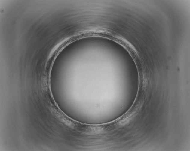 X0000080200878200612081425