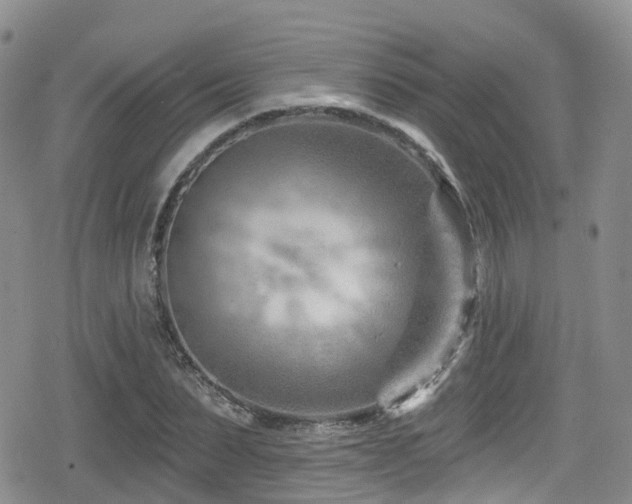 X0000080200879200612081425