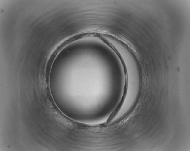 X0000080200880200612081425