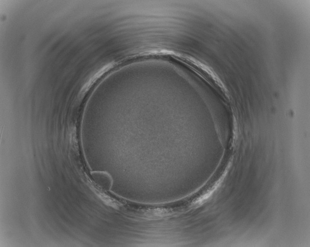 X0000080200881200612081424