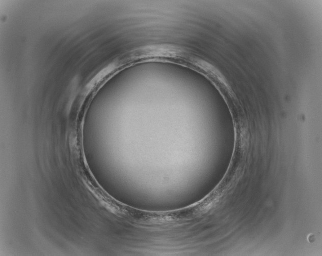 X0000080200882200612081424