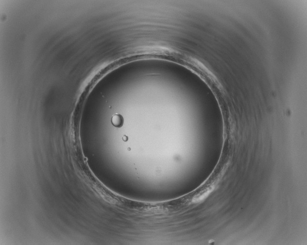 X0000080200883200612081424